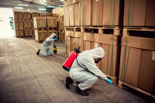 Best Pest Removal Services  in Oak Island, NC