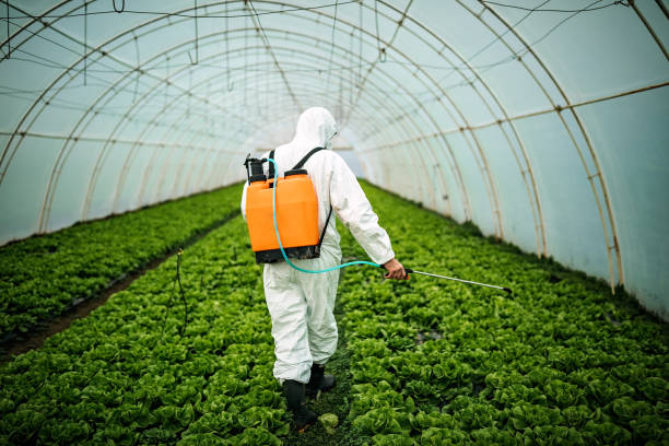 Best Best Pest Control Companies  in Oak Island, NC
