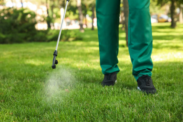 Best Insect Control  in Oak Island, NC