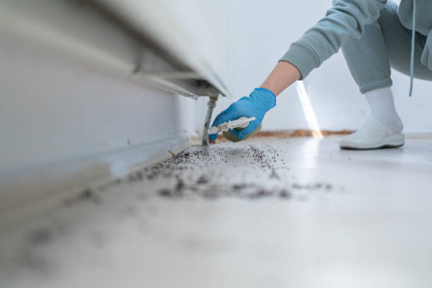 Best Pest Control Near Me  in Oak Island, NC